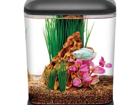 Aquarium de bureau MiniCube LED - 1,6 gal Discount