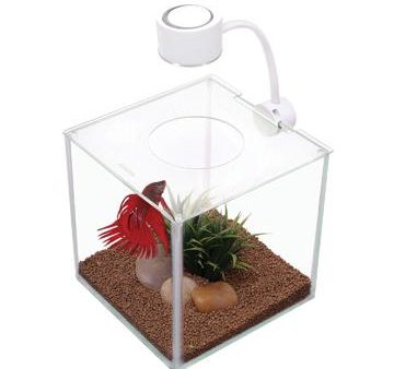 Aquarium équipé Cubus Marina pour betta, 3,4 L (0,9 gal US) Hot on Sale