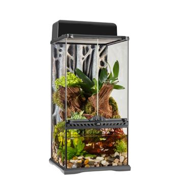 Terrarium de forêt tropicale et paludarium de pointe Exo Terra, mini très haut, 30 W x 30 D x 60 H cm (12” x 12 ”x 24”) Supply