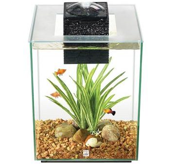 Aquarium équipé Chi II FL 19L (5galUS) on Sale