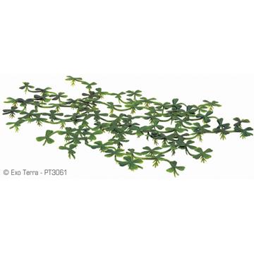 Lentille d eau flottante Water Plants Exo Terra Discount