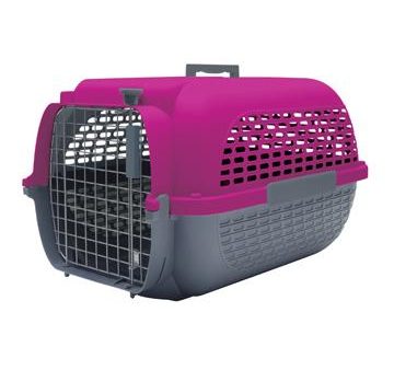 Cage Voyageur Dogit pour chiens, base anthracite avec dessus fuchsia, petite For Discount