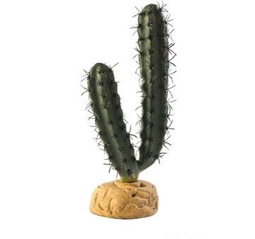 Cactus en doigts Exo Terra Online Sale