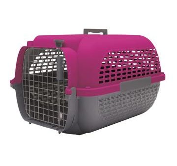 Cage Voyageur Dogit pour chiens, base anthracite avec dessus fuchsia, moyenne Fashion