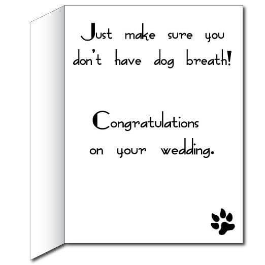 3  Giant Bulldog & Chihuahua Wedding Greeting Card Online Hot Sale