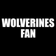 Wolverines Fan Black Folding Camping Chair Online