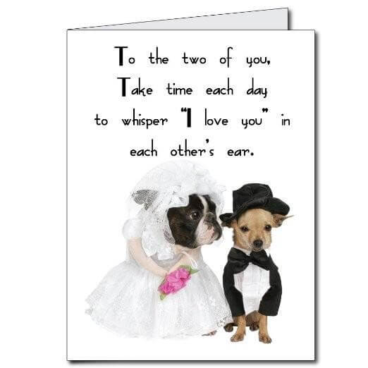 3  Giant Bulldog & Chihuahua Wedding Greeting Card Online Hot Sale