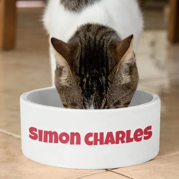 Custom Name Pet Bowl For Discount