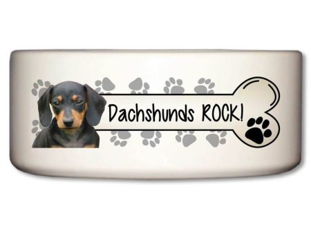 Dachshunds Rock Ceramic Dog Bowl Fashion