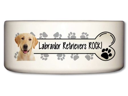 Labrador Retrievers Rock Ceramic Dog Bowl Fashion