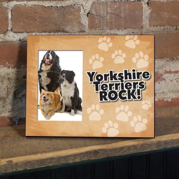 Yorkshire Terriers Rock Dog Picture Frame Sale