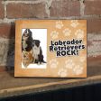 Labrador Retrievers Rock Dog Picture Frame Cheap