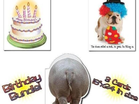 18 x24  BIG Funny Birthday Greeting Card Set of 6 For Cheap