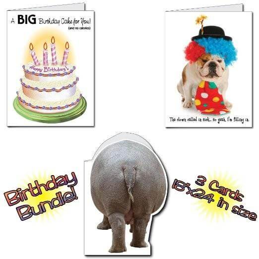 18 x24  BIG Funny Birthday Greeting Card Set of 6 For Cheap