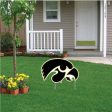 18 x24  University of Iowa Tigerhawk Yard Sign Online Sale