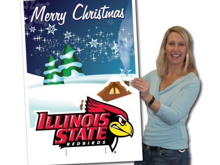 2 x3  Giant Illinois State Holiday Greeting Card & Yard Sign Sale