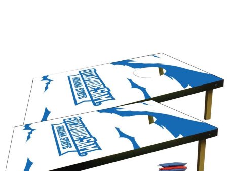 Indiana State University Corn Hole Bag Toss Online Hot Sale