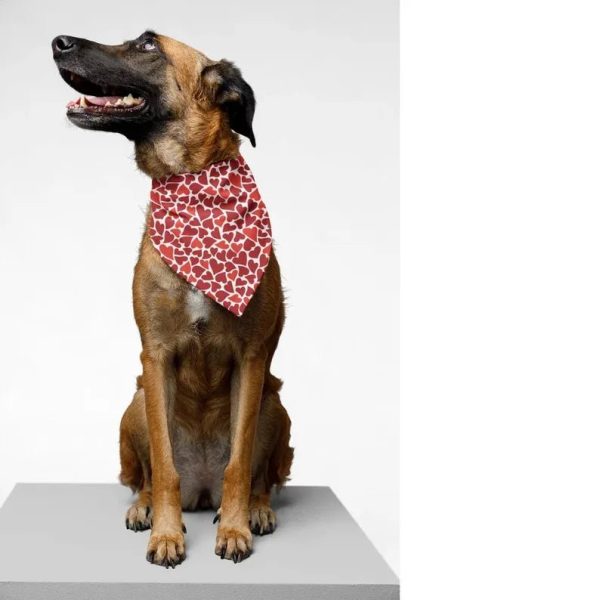 Pet Bandanas | Set of 12 Hot on Sale