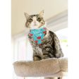 Pet Bandanas | Set of 12 Hot on Sale