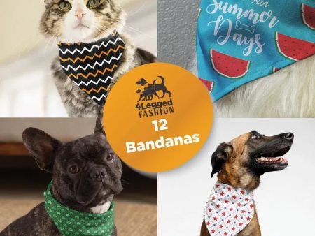 Pet Bandanas | Set of 12 Hot on Sale