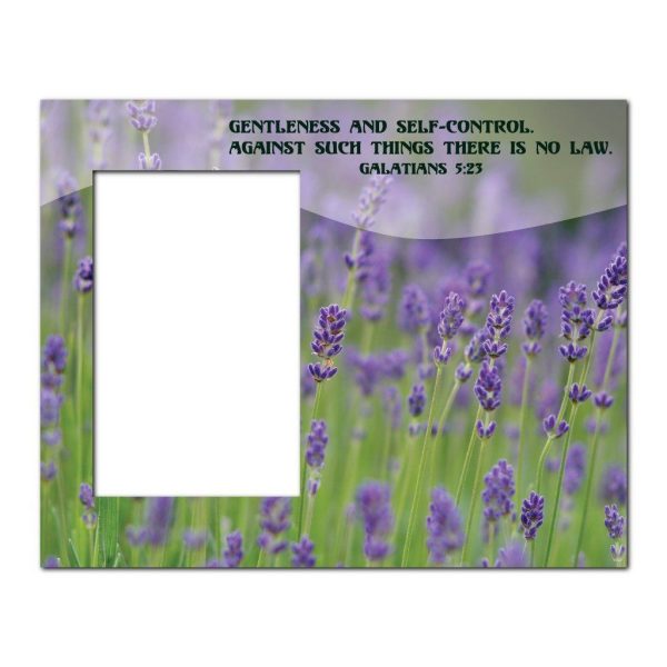 Galatians 5:23 Decorative Picture Frame For Discount